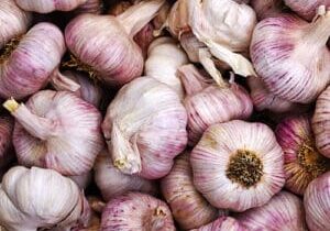 Garlic bulbs